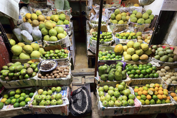 열대 과일 - guava vegetable tropical climate fruit 뉴스 사진 이미지