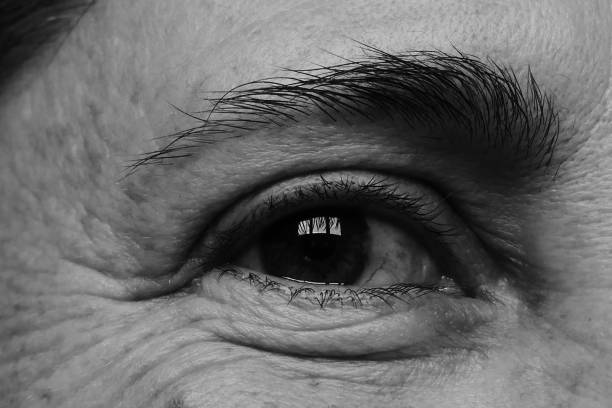 istock Face in detail 1219304460