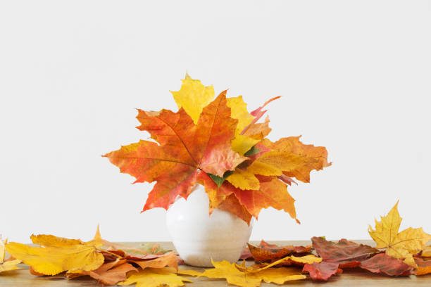 istock autumnal leaves in white vase on white background 1219304584