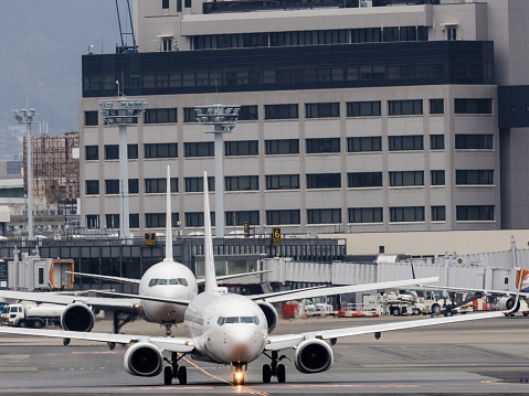 Camera : OLYMPUS OM-D E-M1 MKⅡ DIGITAL CAMERA\nLens : M. ZUIKO Digital 40-150 F2.8 Pro\nWhen : 6/Mar./2019\nWhere : Osaka International Air Port