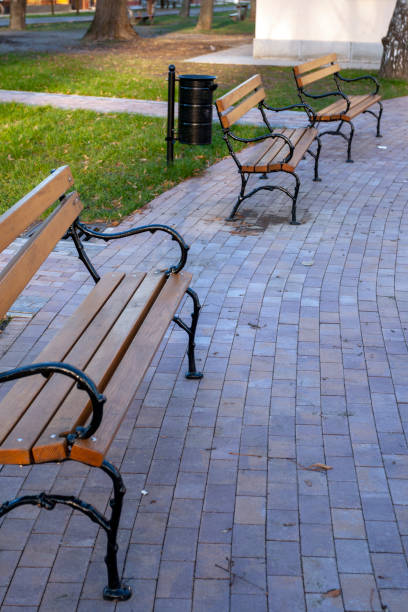 istock Wood benches in a winter park 1219310605