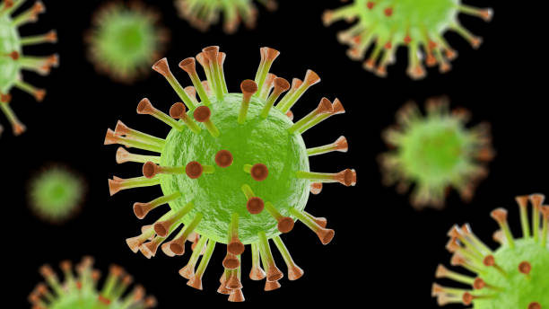 istock Colorful 3D Rendering picture of a Corona virus 1219310854