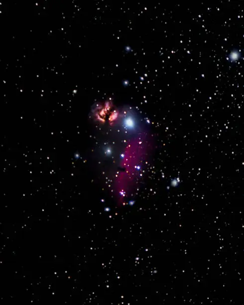Horsehead nebula is part of the Orion nebula