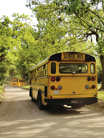 School Bus in Public Park, Charleston - South Carolina.