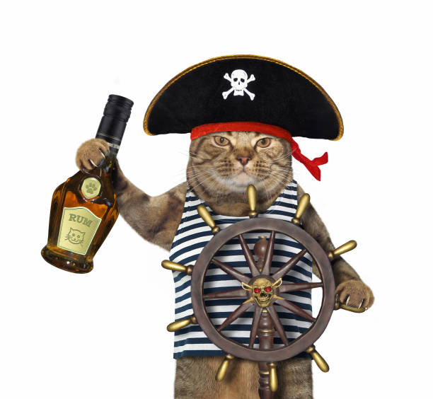istock Cat pirate at helm of ship 1219322736