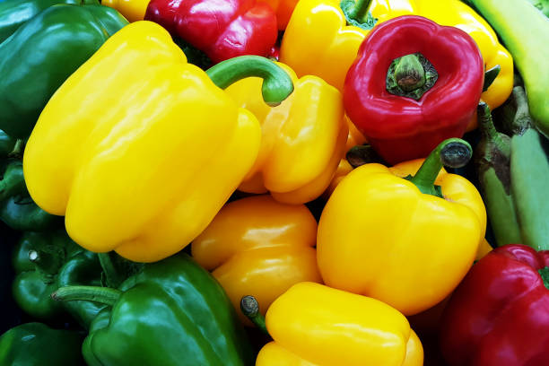 istock multicolor bell pepper or sweet pepper or capsicum in background 1219325181