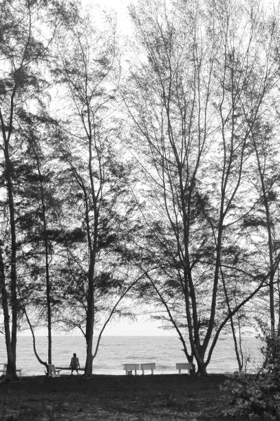 istock Sea, beach surrounded by tree,lonely people,black and white 1219325196