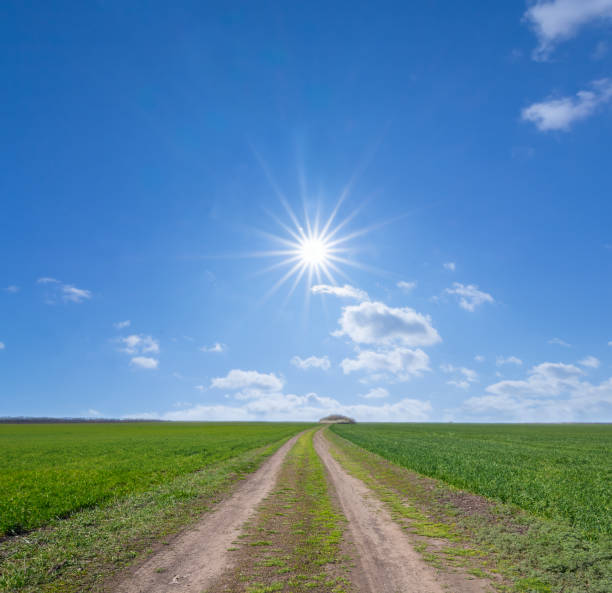 istock ground road among green fields under a sparkle sun 1219325627