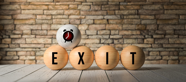 wooden balls with the word EXIT in front of a brick wall - 3D rendered illustration