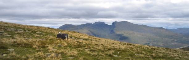 istock The Scafells from Seatallan 1219330485