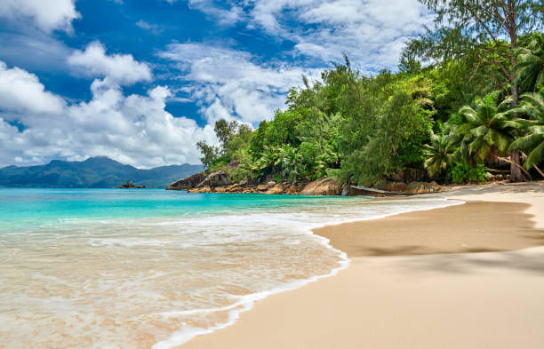 istock Beautiful Anse Soleil beach at Seychelles 1219330695