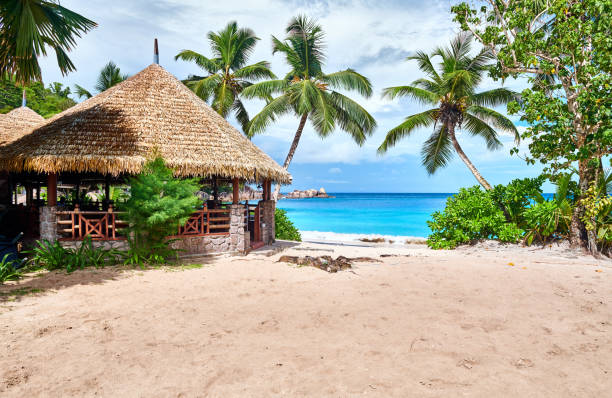 istock Beautiful beach at Seychelles 1219330730