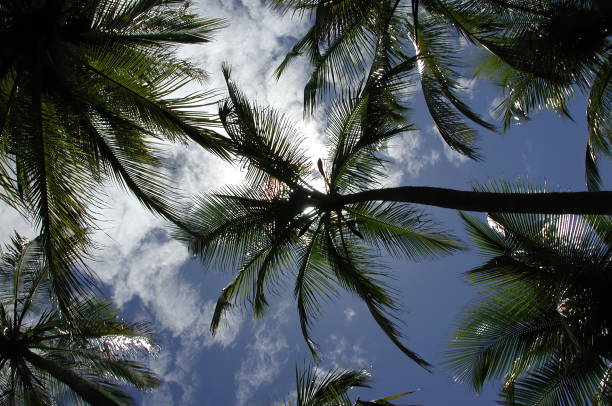 This picture was taken with a wide angle lens.