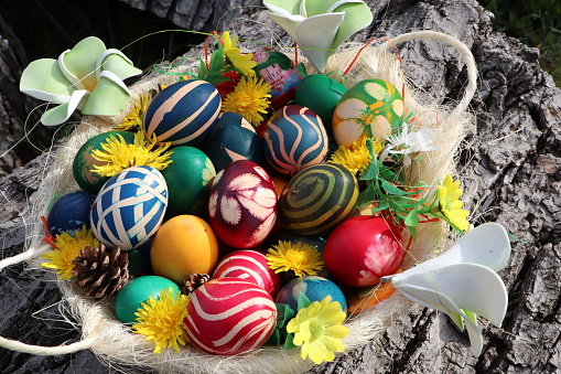 Easter egg basket with colorful painted eggs decorated with flowers on walnut bark background