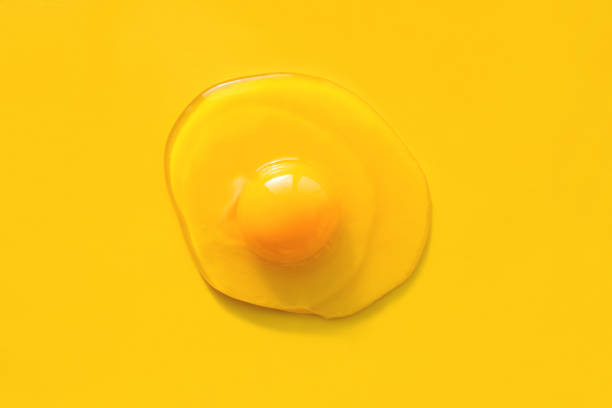 istock Fresh raw egg with yolk isolated on bright yellow background 1219333619