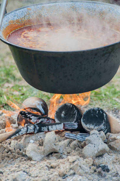 istock Soup in a pot in the fire 1219334963