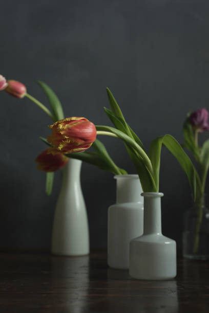 istock White vases with red tulips on a wooden table. 1219335381