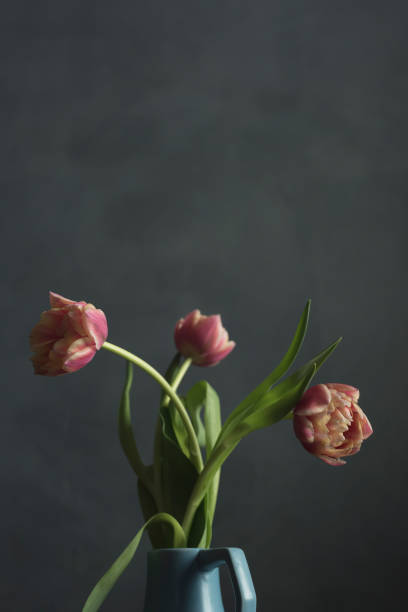 istock Pink tulips in blue vase against grey wall. 1219335396