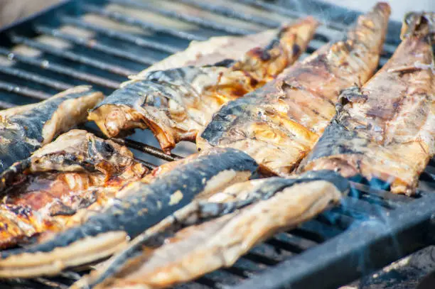 Photo of barbecue, fish are roasting on fire