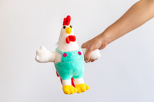 Plush toy chicken. Chick on a white background