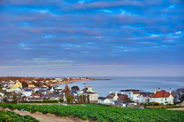 St Clements Bay Landscape of St Clemnets Bay with a crop of Jersey Royal Potatoes, housing and the sea with a cloudy sky. Selective Focus channel islands england stock pictures, royalty-free photos & images