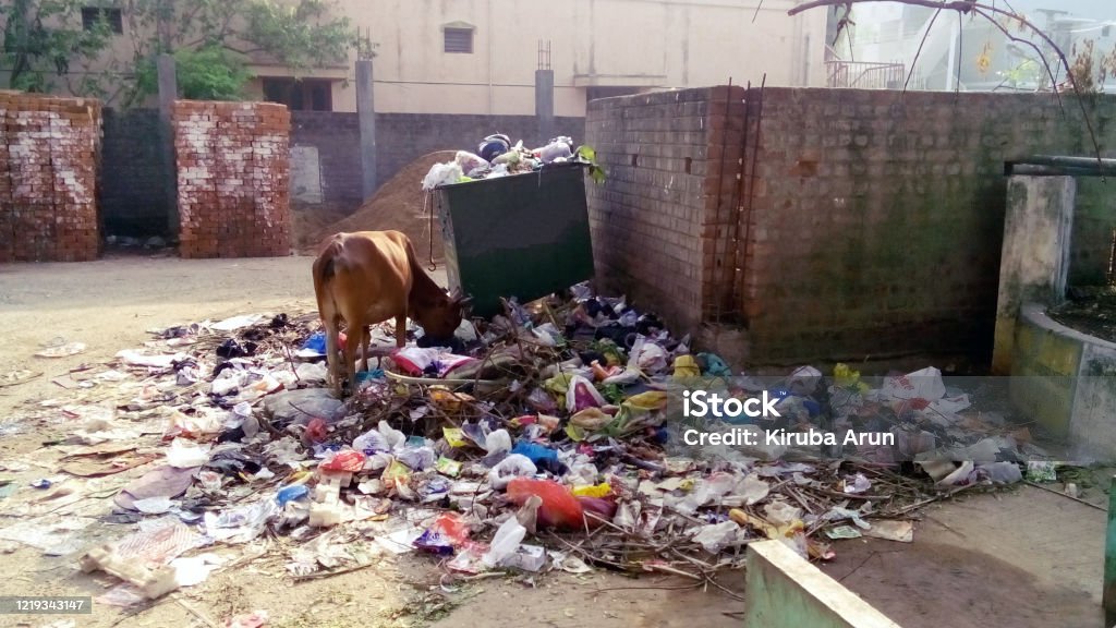 Overloaded Dustbin Dustbin Overflows Stock Photo - Download Image Now - India, Overflowing ...