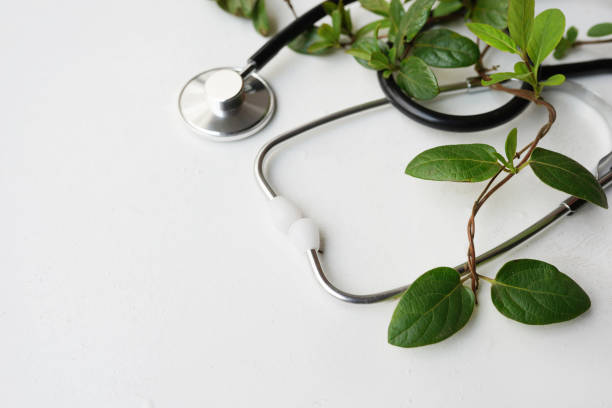 istock Stethoscope with green leaves tree on white wood background , copy space 1219343308