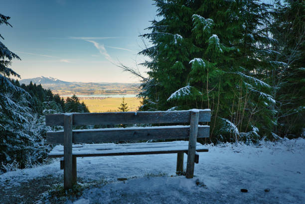 istock Trench in the winter 1219345416