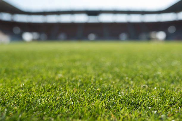 istock Grass at football stadium 1219345454