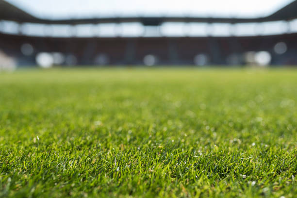 Grass at football stadium Grass at football stadium during sunny day international team soccer photos stock pictures, royalty-free photos & images