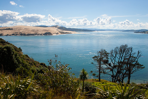A view toward the dunes at Hokianga Harbour, Northland, New Zealand