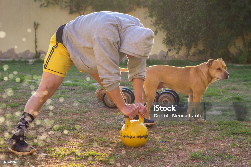 Man workout in house yard at sunset Man workout in garden using weights on sunset Activity Stock Photo