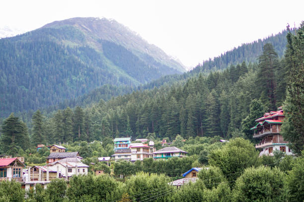 istock Beautiful Homes in Valley of Mountain 1219348629