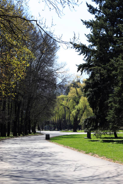 istock Empty park with empty benches as prevention from coronavirus Covid-19 disease 1219350598