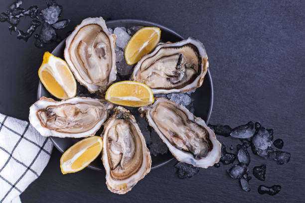 istock Fresh raw opened oysters with ice and lemon slices 1219352276