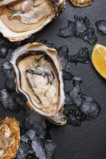 istock Fresh raw opened oysters with ice and lemon slices 1219352280
