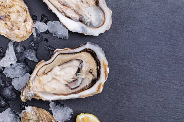 istock Fresh raw opened oysters with ice on black slate background 1219352286