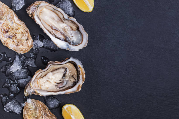 istock Fresh raw opened oysters with ice and lemon slices on black slate background 1219352293