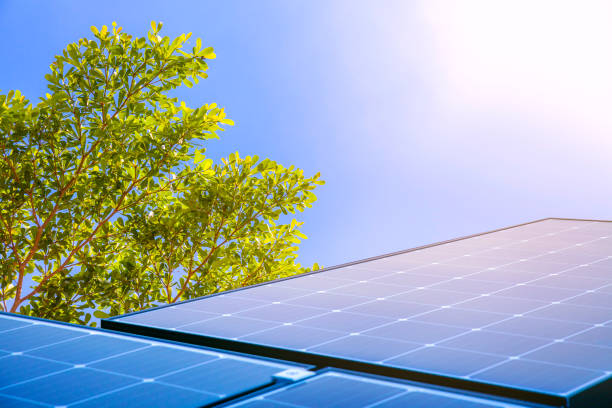 painéis solares refletem luz cintilante do sol, energia limpa e meio ambiente - fuel cell solar panel solar power station control panel - fotografias e filmes do acervo