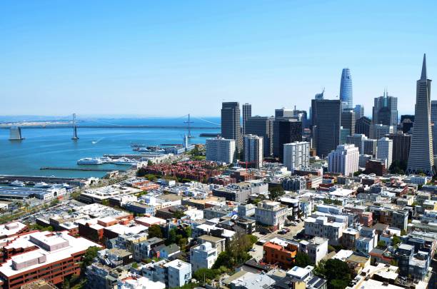 istock Aerial view on downtown San Francisco and harbour from Coit Tower 1219356837