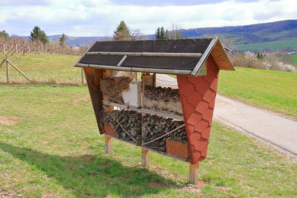 istock wild bee and insect shelter hotel 1219357225