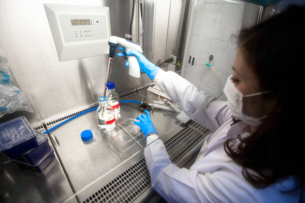 istock Researchers working for Covid Vaccines 1219357664