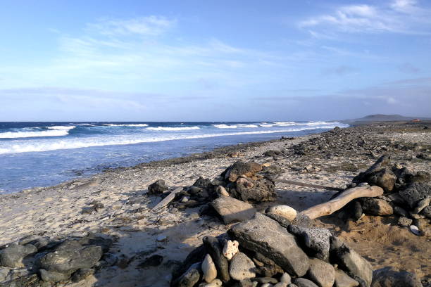 istock Stony beach at sunset light and blue sky, Arashi Dunes, Aruba 1219358381