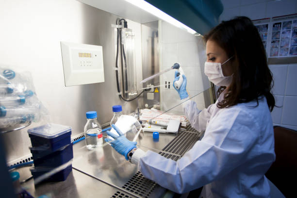 istock Researchers working for Covid Vaccines 1219362128