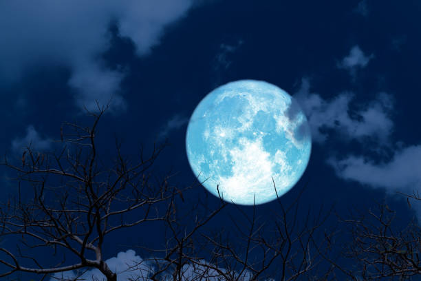 istock full Blue moon back silhouette soft cloud dry branck tree on night sky 1219362512