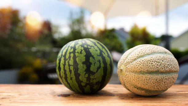 fresh melons in summer - watermelon summer melon portion imagens e fotografias de stock