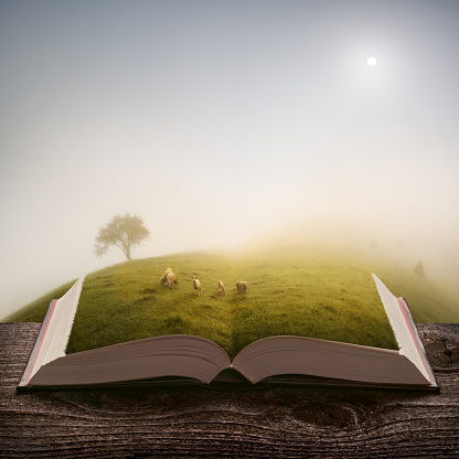 Herd of sheeps grazing on a meadow at morning on the pages of an open magical book. Majestic landscape. Nature and education concept.