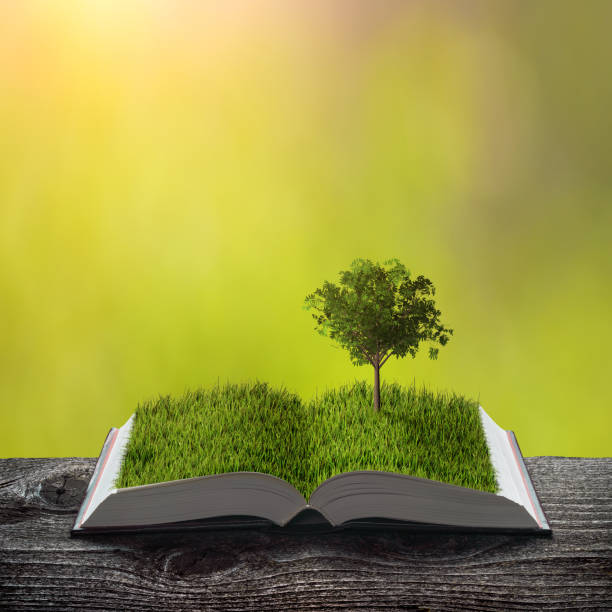 istock Young tree on a green grass on the pages of an open magical book 1219367082