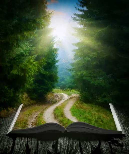 Photo of Way through the misty forest on the pages of an open magical book