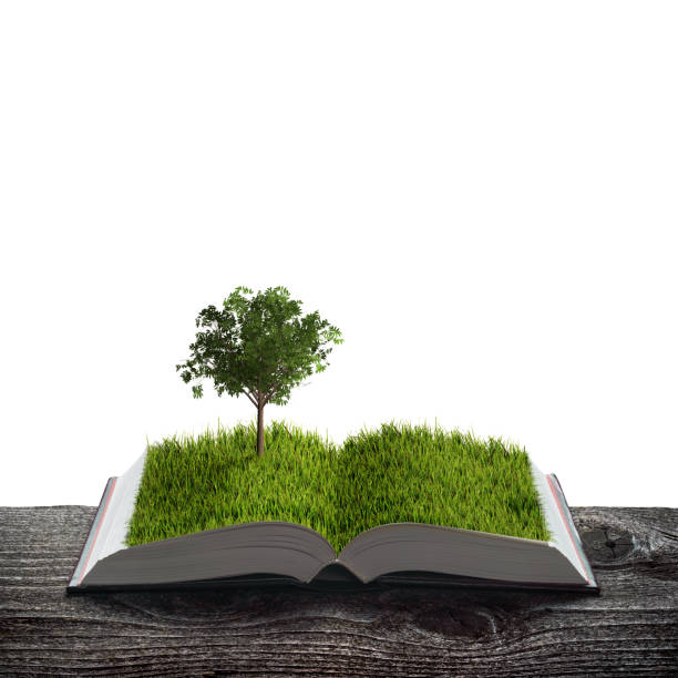 istock Young tree on a green grass on the pages of an open magical book 1219367154